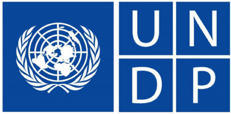 undp_logo_landscape_854813103b